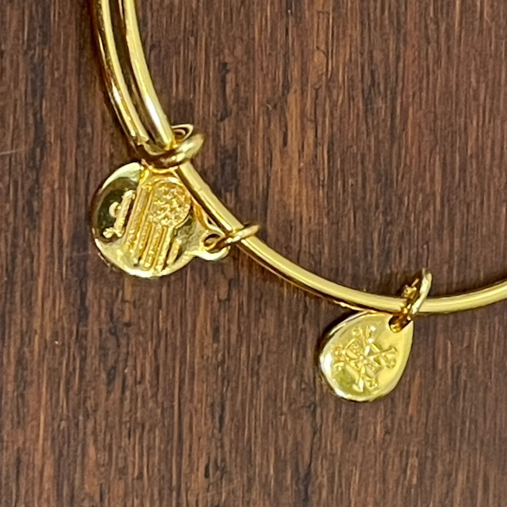 alex and ani up Gold Charm Bracelet with Colorful Balloon Pendant - Picture 3 of 4